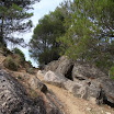 DSC08796.JPG