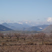 DSC07447.JPG