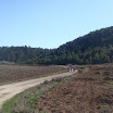 DSC08049.JPG