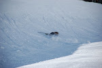 DSC_8988.JPG