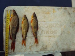 clip_image002