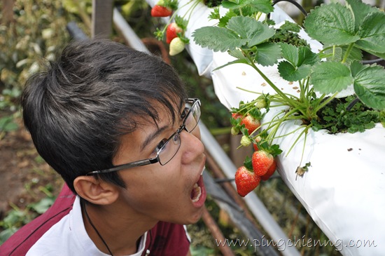 [DSC_07182.jpg]