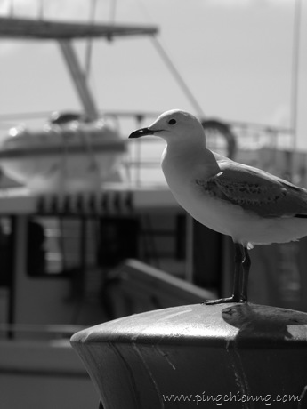 [P92000553.jpg]