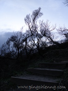 P9200296