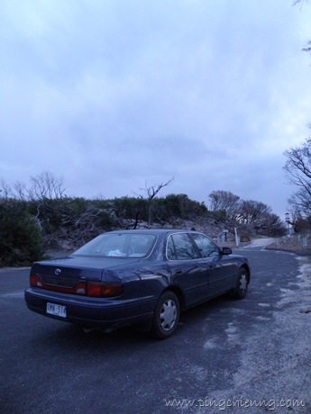 [P92003046.jpg]
