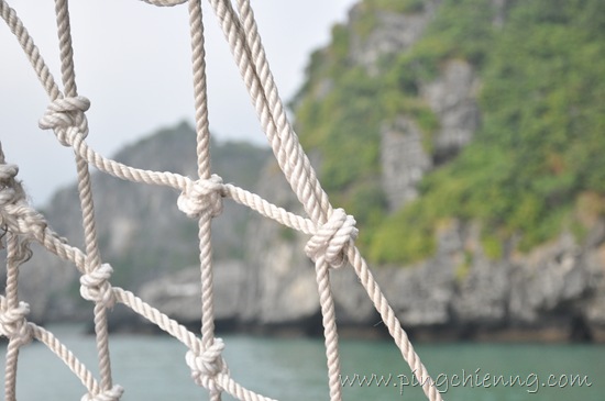 [DSC_13862.jpg]