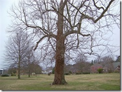 101_0092 101_0092