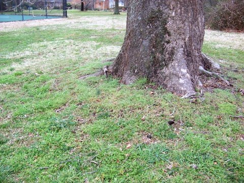 [101_00972.jpg]