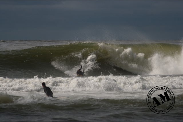 [carcavelos 6-2-2010 12-13 sushi-006[2].jpg]