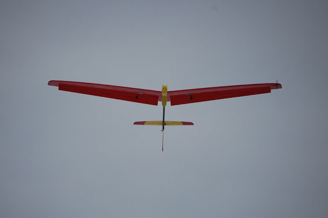 DSC_8489.JPG