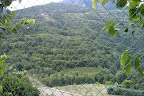 IMAG0012.jpg
