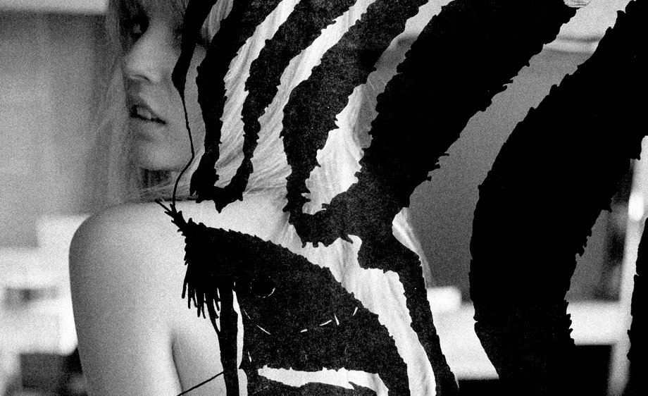[zebra1.jpg]