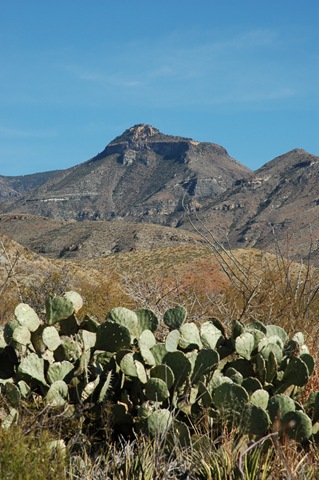 [Big Bend 046[2].jpg]