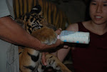 DSC_0656.JPG
