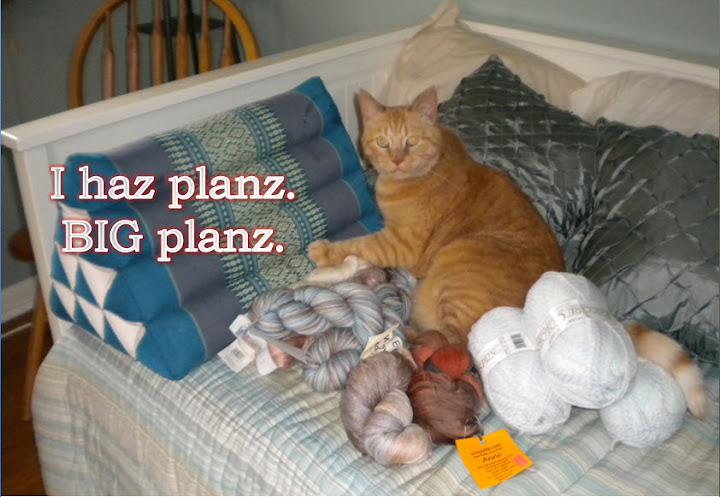 Darren-kitty has Planz!