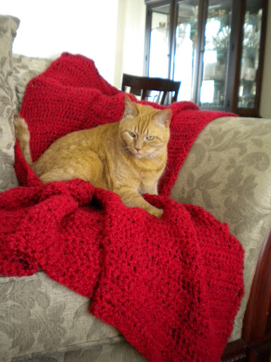 Mandys Throw Blankie
