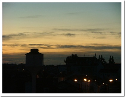 DSCF5520