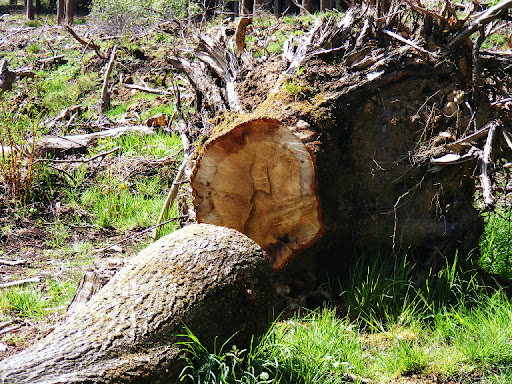 DSCF1011.SQ1rkO6SboMr.jpg