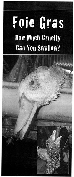 foie_gras