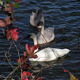 Thanksgiving Photos - 2005