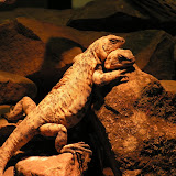 Oklahoma City Zoo
