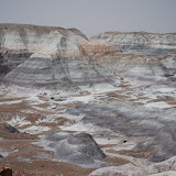 Painted Desert Petrified Forest