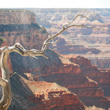 Grand Canyon South Rim