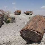 Painted Desert Petrified Forest