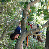 Tim from Humboldt Tree doing his "thang"