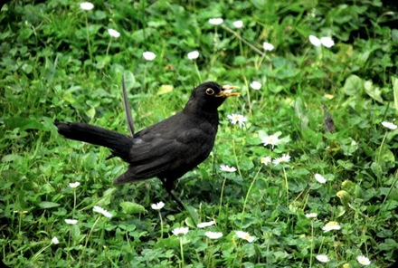 DSC_6745 DSC_6745