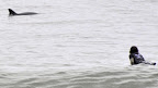 b78481983z120090314145641000g8kgvlhc2_lg.jpg