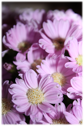 [Nytt bilde (10)[11].png]