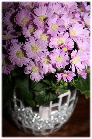 [Nytt bilde (8)[4].png]