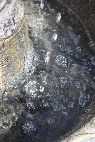 [IMG_61223.jpg]