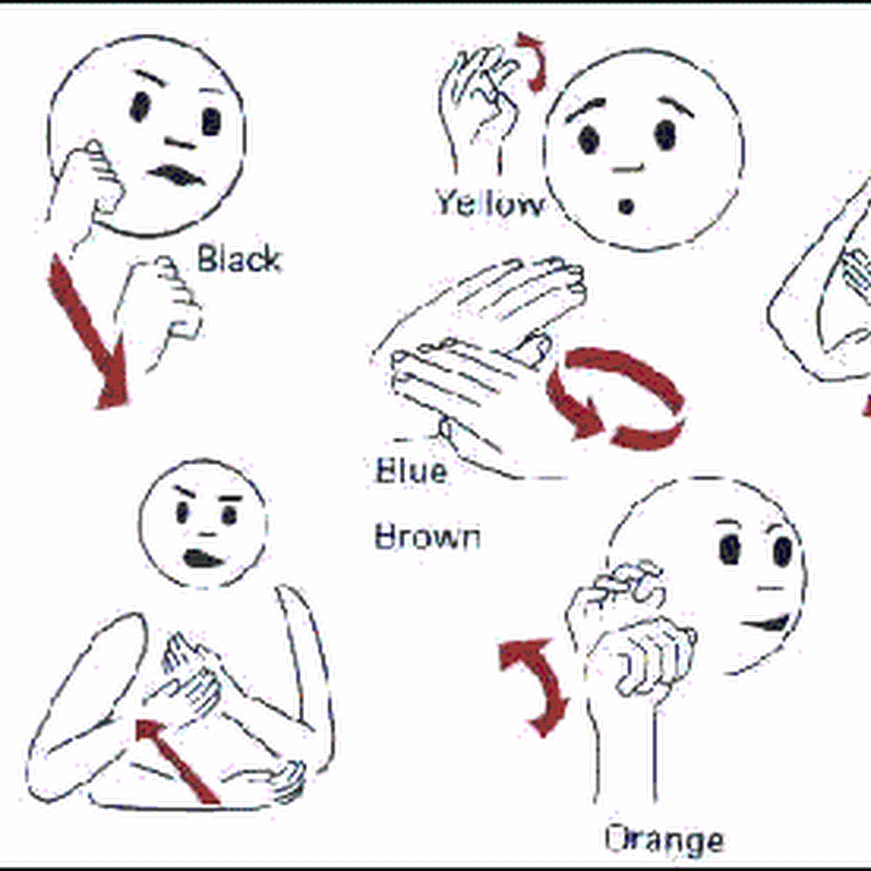 Một số bảng ngôn ngữ ký hiệu (thủ ngữ).