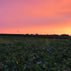 DSC_0180.JPG