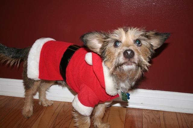 [christmas 2008 001[3].jpg]