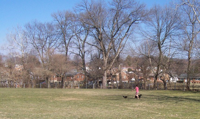 [dayparkanticipatespring 2010-03-08 012[3].jpg]