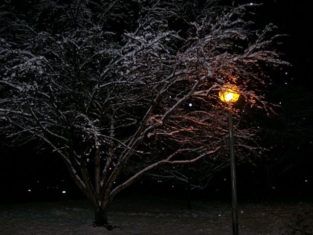 [snow and retro items064[3].jpg]