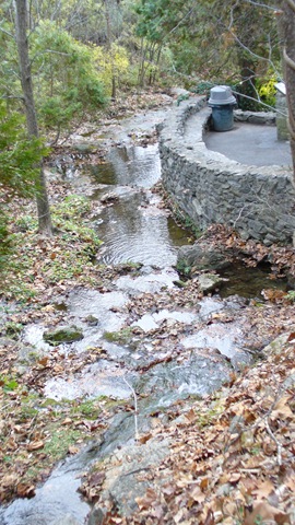 [2010-11-24 018[3].jpg]