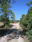 IM000903.JPG