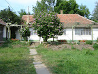 DSC02902.JPG