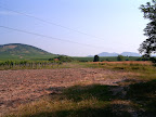 HPIM6117.JPG