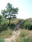 DSC00461.JPG