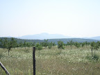 DSC00464.JPG