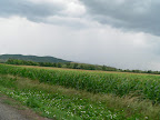 P1110783.JPG