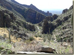 Ventana Canyon Hike 015