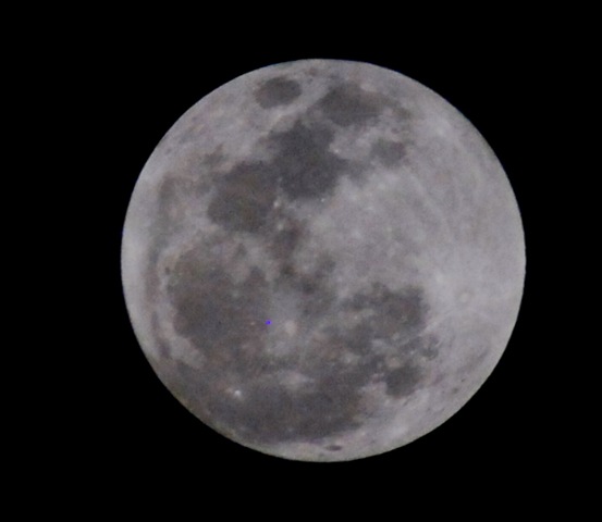 [full moon[4].jpg]