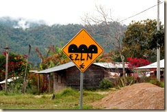 EZLN sign 4