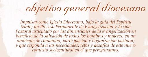 Objetivo General Diocesano 2010